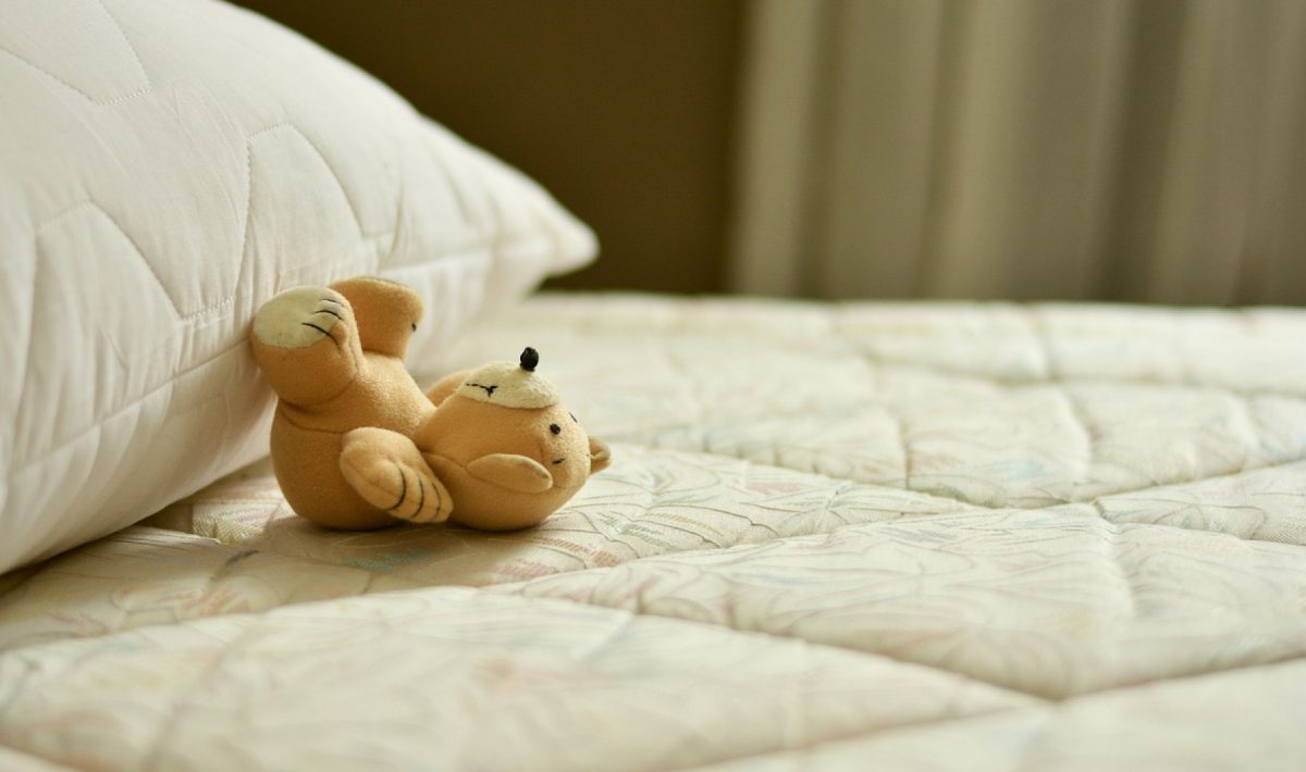 La désinsectisation professionnelle des punaises de lit : une solution à prioriser
